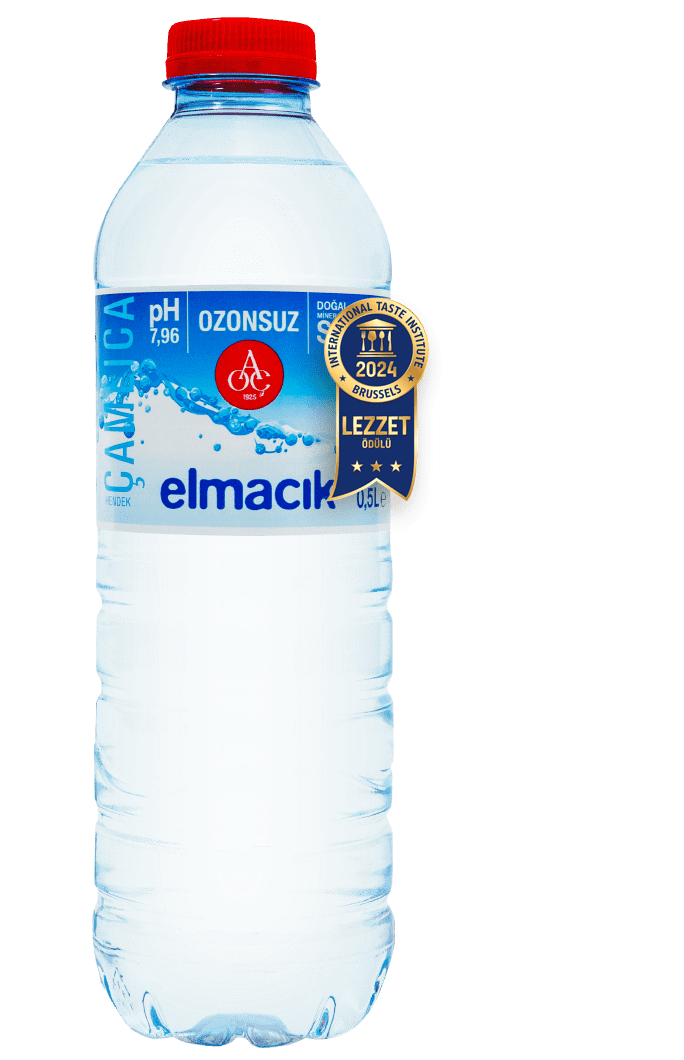 elmacik_Turkce_2024_v1-min